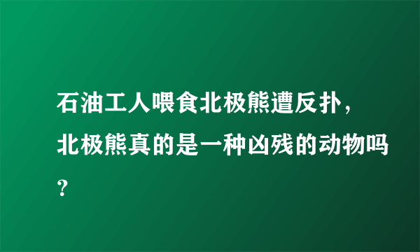 石油工人喂食北极熊遭反扑，北极熊真的是一种凶残的动物吗？