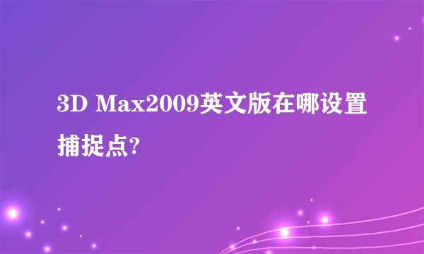 3D Max2009英文版在哪设置捕捉点?