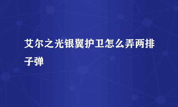 艾尔之光银翼护卫怎么弄两排子弹