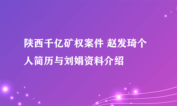 陕西千亿矿权案件 赵发琦个人简历与刘娟资料介绍