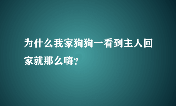 为什么我家狗狗一看到主人回家就那么嗨？