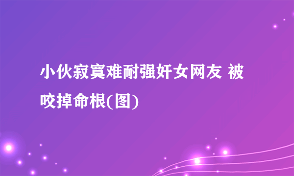 小伙寂寞难耐强奸女网友 被咬掉命根(图)