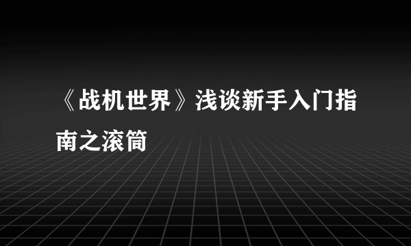 《战机世界》浅谈新手入门指南之滚筒