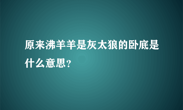 原来沸羊羊是灰太狼的卧底是什么意思？