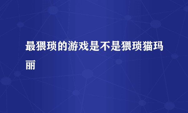 最猥琐的游戏是不是猥琐猫玛丽