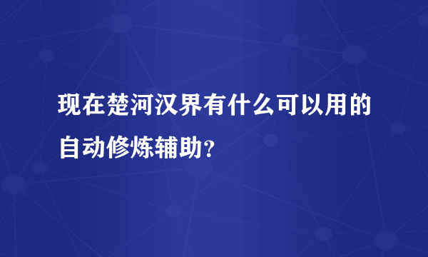 现在楚河汉界有什么可以用的自动修炼辅助？