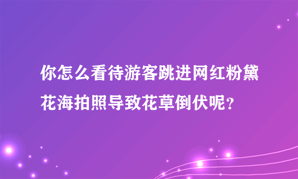 你怎么看待游客跳进网红粉黛花海拍照导致花草倒伏呢？