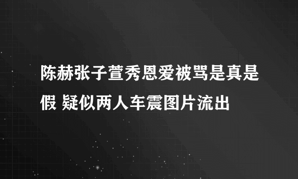 陈赫张子萱秀恩爱被骂是真是假 疑似两人车震图片流出