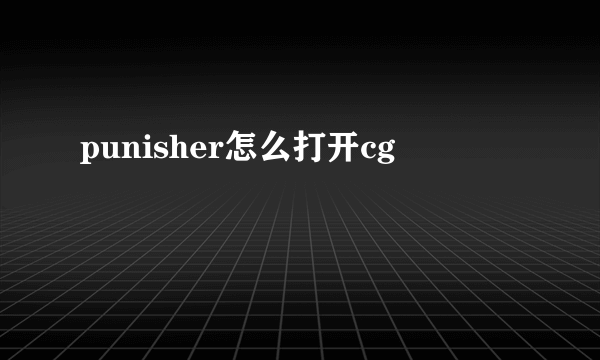 punisher怎么打开cg