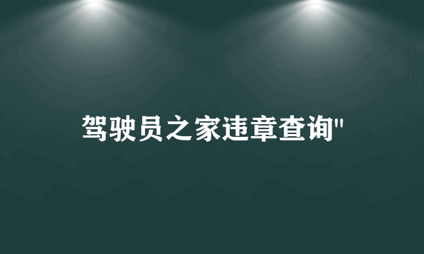 驾驶员之家违章查询