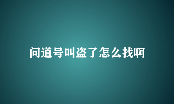 问道号叫盗了怎么找啊