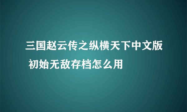 三国赵云传之纵横天下中文版 初始无敌存档怎么用