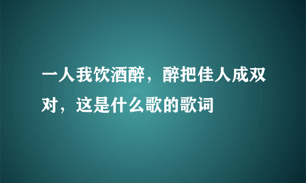 一人我饮酒醉，醉把佳人成双对，这是什么歌的歌词