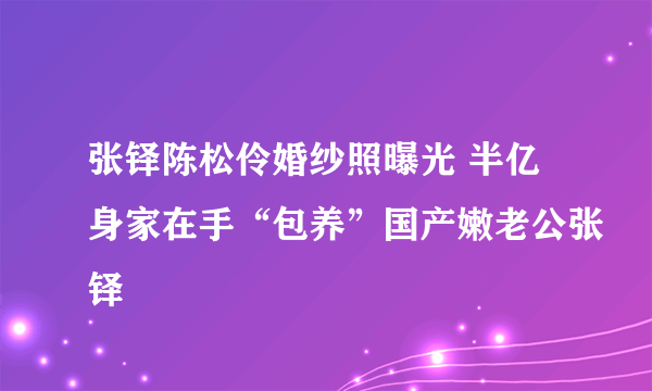 张铎陈松伶婚纱照曝光 半亿身家在手“包养”国产嫩老公张铎