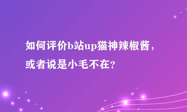 如何评价b站up猫神辣椒酱，或者说是小毛不在？