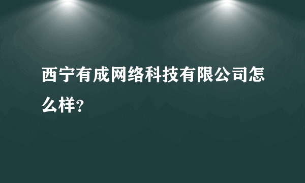 西宁有成网络科技有限公司怎么样？