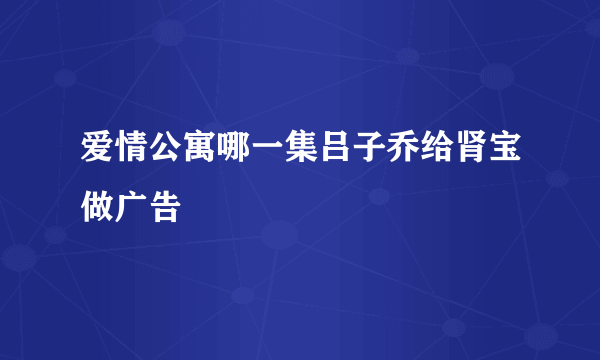 爱情公寓哪一集吕子乔给肾宝做广告