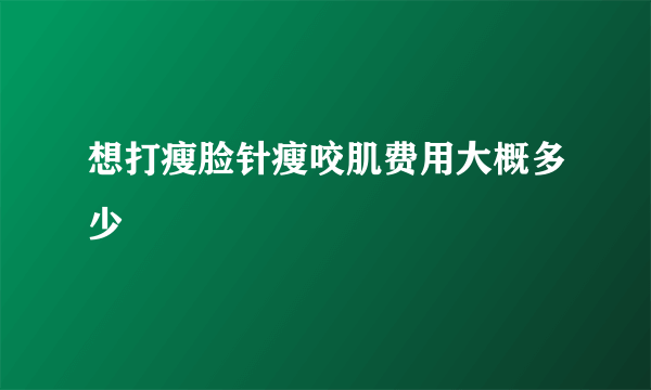 想打瘦脸针瘦咬肌费用大概多少