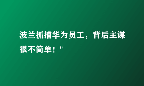 波兰抓捕华为员工，背后主谋很不简单！