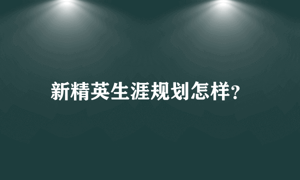 新精英生涯规划怎样？