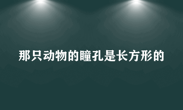 那只动物的瞳孔是长方形的