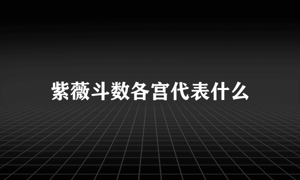 紫薇斗数各宫代表什么