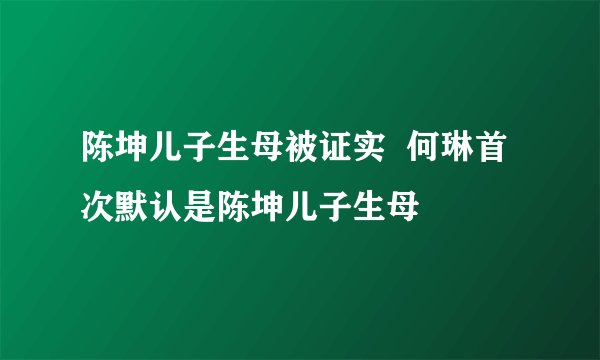 陈坤儿子生母被证实  何琳首次默认是陈坤儿子生母