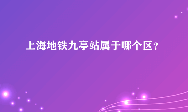 上海地铁九亭站属于哪个区？