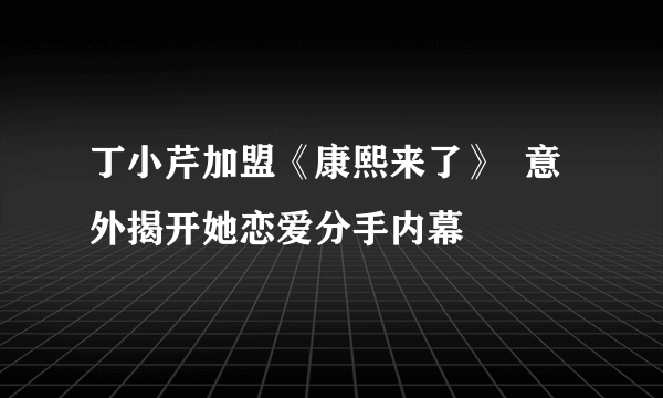 丁小芹加盟《康熙来了》  意外揭开她恋爱分手内幕