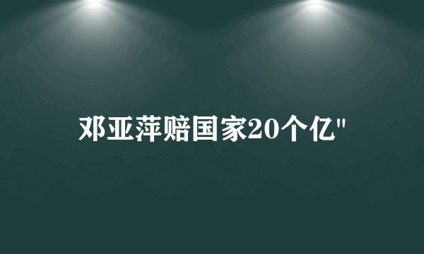 邓亚萍赔国家20个亿