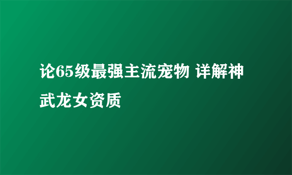 论65级最强主流宠物 详解神武龙女资质