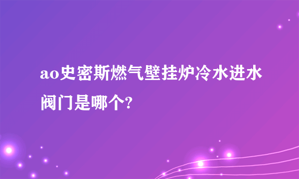 ao史密斯燃气壁挂炉冷水进水阀门是哪个?