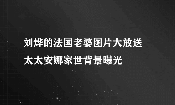 刘烨的法国老婆图片大放送 太太安娜家世背景曝光