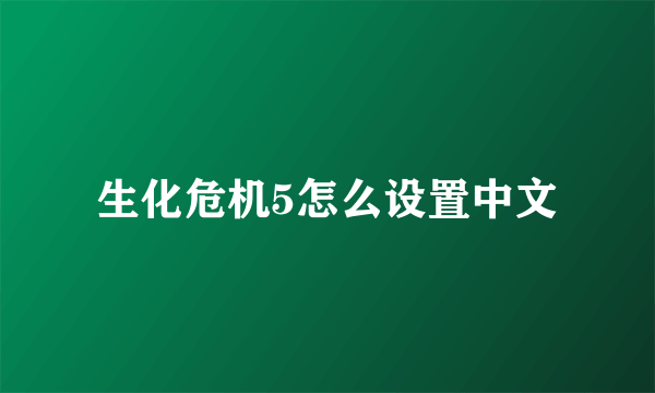 生化危机5怎么设置中文