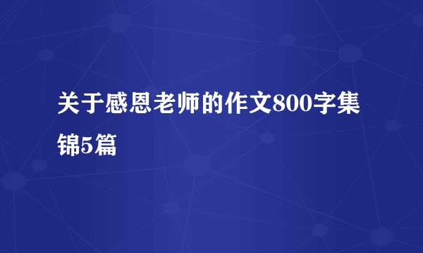 关于感恩老师的作文800字集锦5篇