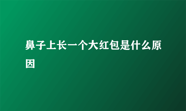 鼻子上长一个大红包是什么原因