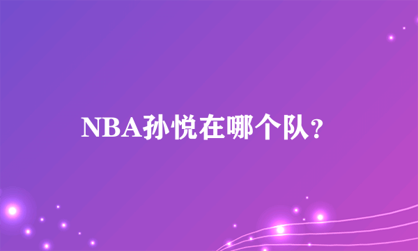 NBA孙悦在哪个队？