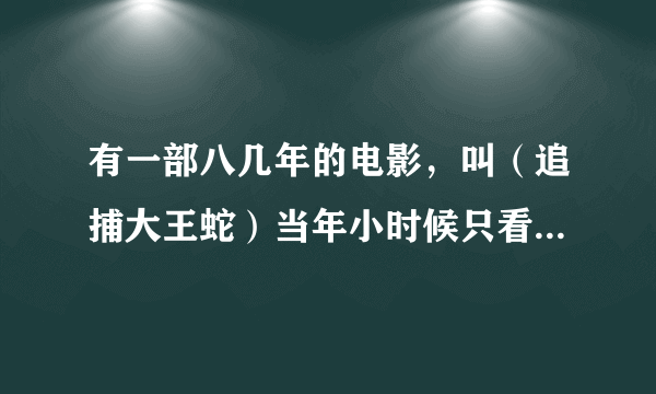 有一部八几年的电影，叫（追捕大王蛇）当年小时候只看了一半，现在好