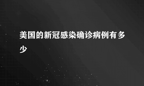 美国的新冠感染确诊病例有多少