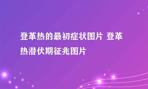 登革热的最初症状图片 登革热潜伏期征兆图片