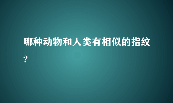 哪种动物和人类有相似的指纹?