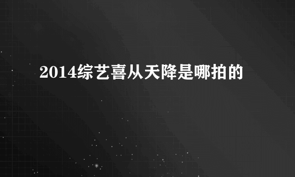 2014综艺喜从天降是哪拍的