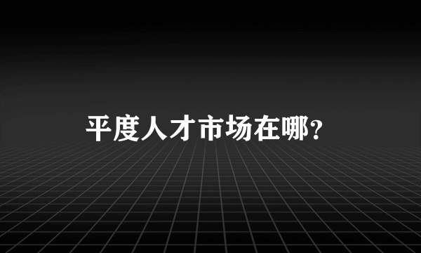 平度人才市场在哪？