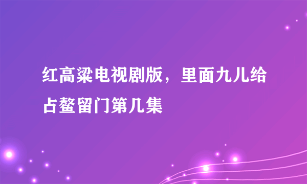 红高粱电视剧版，里面九儿给占鳌留门第几集