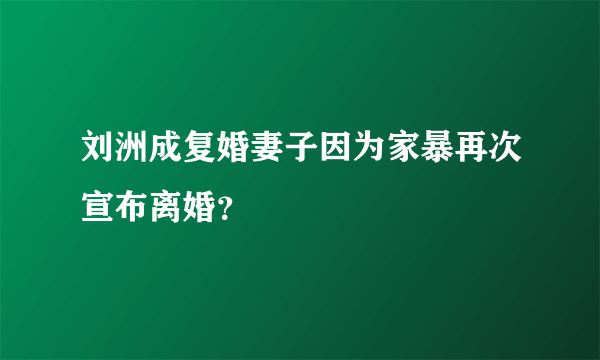 刘洲成复婚妻子因为家暴再次宣布离婚？