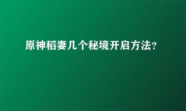 原神稻妻几个秘境开启方法？