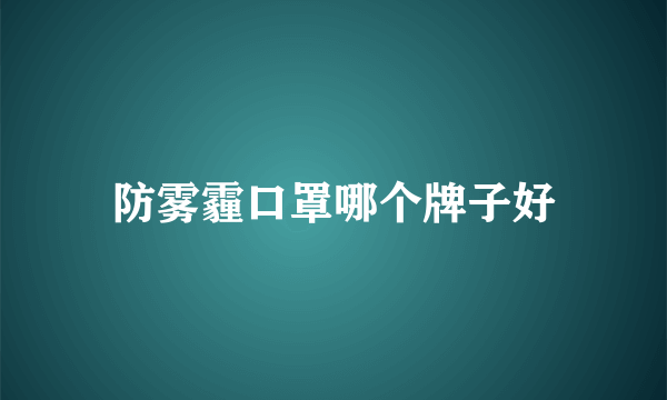 防雾霾口罩哪个牌子好