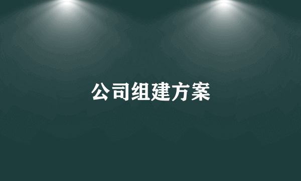 公司组建方案