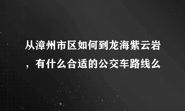 从漳州市区如何到龙海紫云岩，有什么合适的公交车路线么