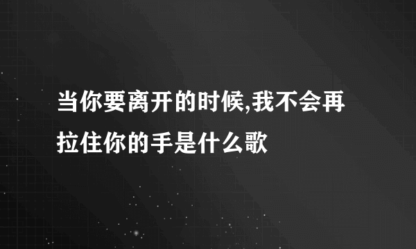 当你要离开的时候,我不会再拉住你的手是什么歌